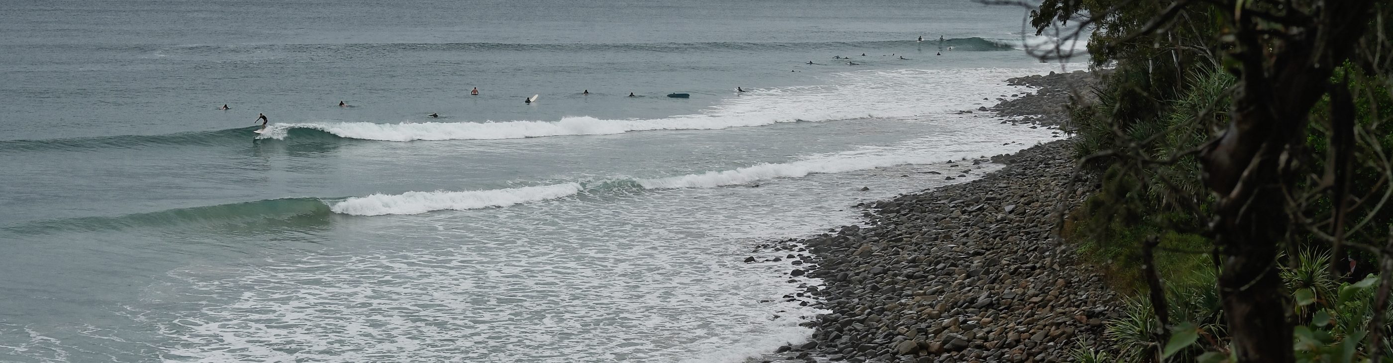 Dawn lineup, Noosa