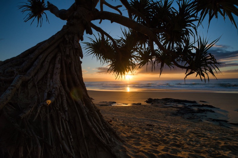 Last Light, Noosa