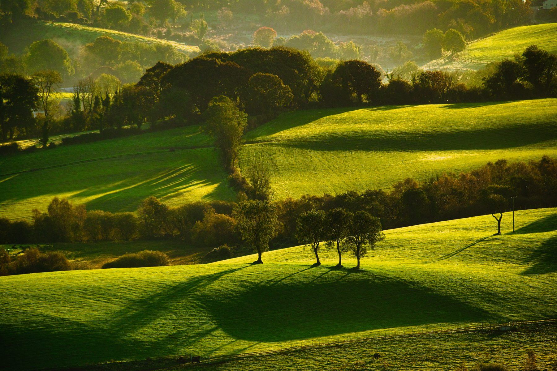 First Light