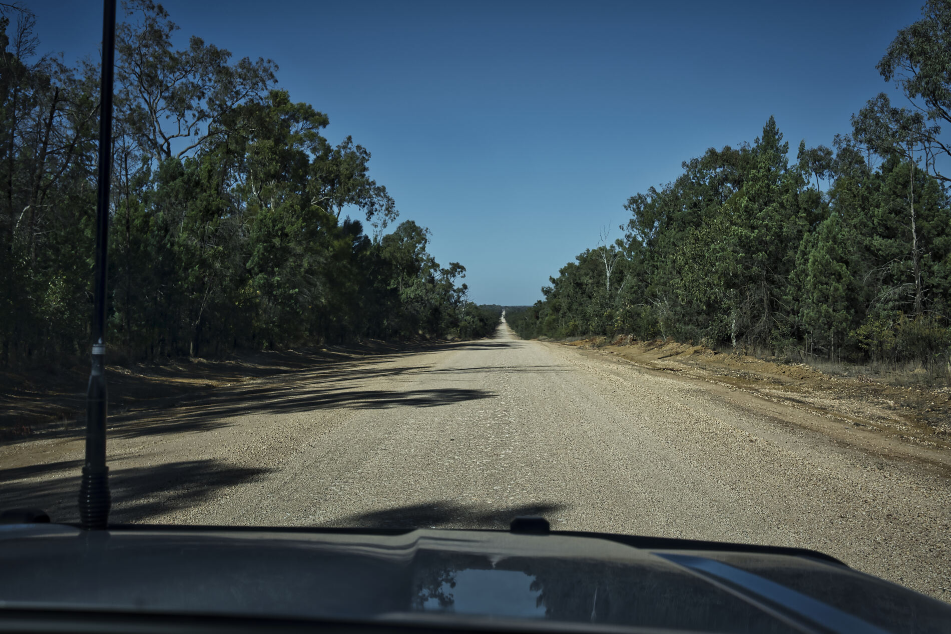 The road, seen through the windscreen